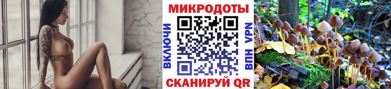 что такое наркотик  Высоцк  Псилоцибиновые грибы MAGIC MUSHROOMS 